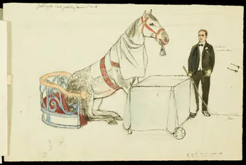 partie d'un ensemble de dessins Cheval à table 1968.102.2536.7  Photo Mucem