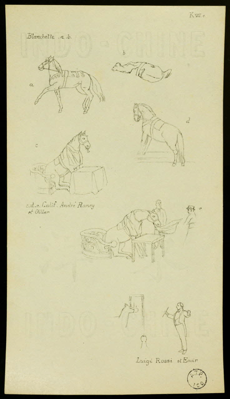 partie d'un ensemble de dessins Blanchette 1968.102.2538.1 Photo Mucem