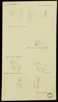 partie d'un ensemble de dessins Les d'Jarrah 1968.102.2538.3 Photo Mucem