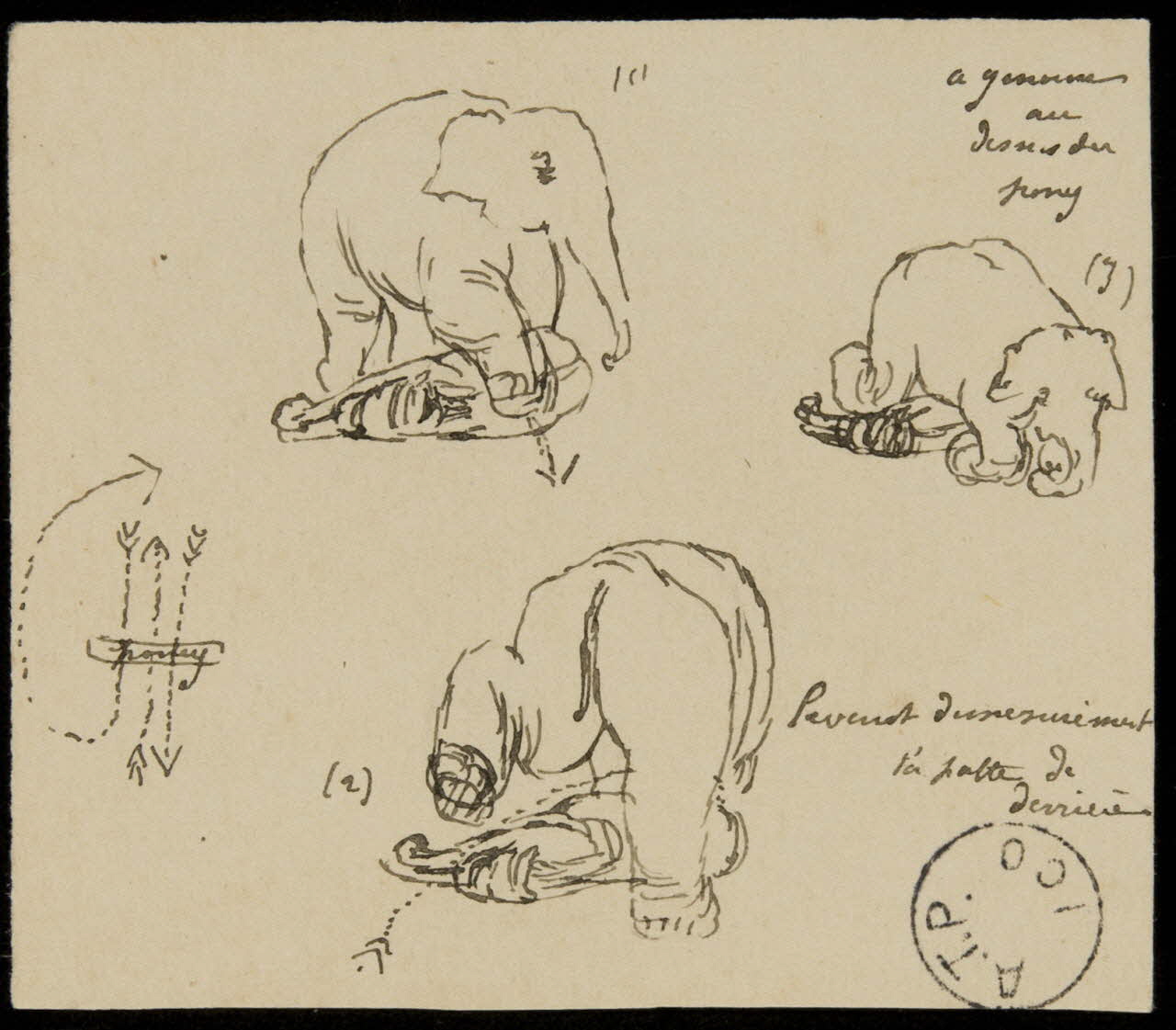 partie d'un ensemble de dessins Dresseur Recksey 1968.102.2568.9  Photo Mucem