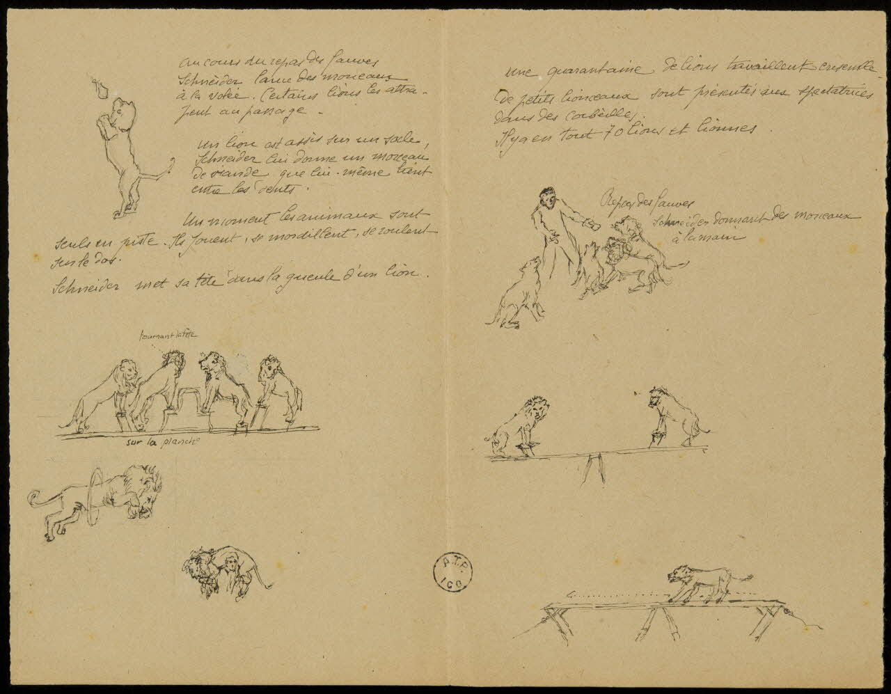 partie d'un ensemble de dessins Cage aux lions 1968.102.2653  Photo Mucem