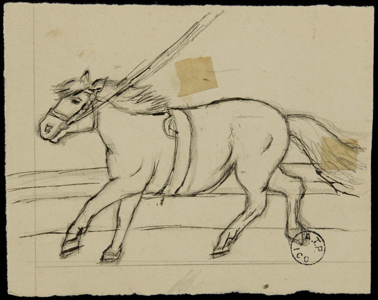 partie d'un ensemble de dessins Cheval au galop 1968.102.2654.2 Photo Mucem