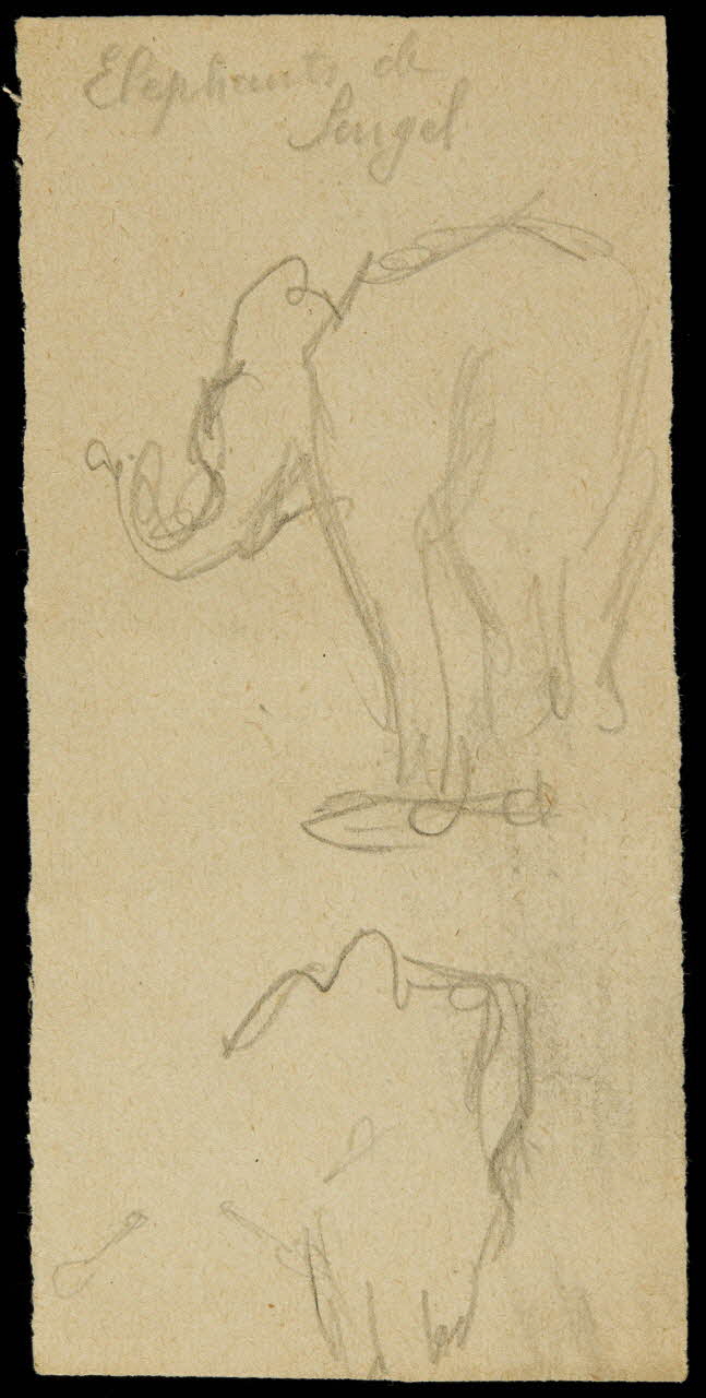 partie d'un ensemble de dessins Elephants de  Singel 1968.102.2681.10 Photo Mucem