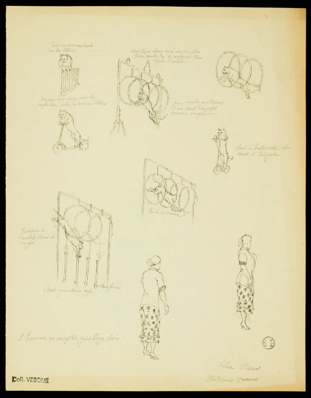 partie d'un ensemble de dessins Felia Star 1968.102.2697 Photo Mucem