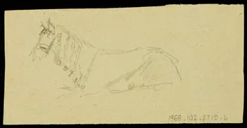 partie d'un ensemble de dessins Harnais de tête du cheval d'école 1968.102.2710.4 Photo Mucem