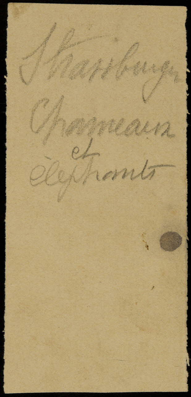 partie d'un ensemble de dessins Strassburger  Chameaux  et  élephants 1968.102.2711.1 Photo Mucem