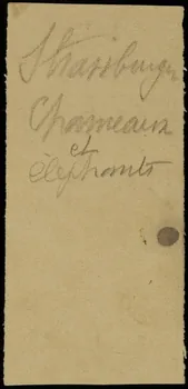 partie d'un ensemble de dessins Strassburger  Chameaux  et  élephants 1968.102.2711.1 Photo Mucem