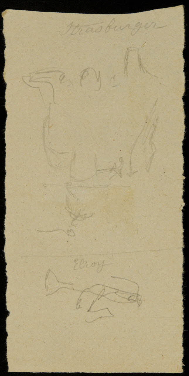 partie d'un ensemble de dessins Strasburger  Elroy 1968.102.2711.11 Photo Mucem