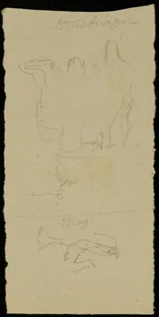 partie d'un ensemble de dessins Strasburger  Elroy 1968.102.2711.11 Photo Mucem