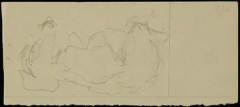 partie d'un ensemble de dessins Ebauche de dessin 1968.102.2711.7 Photo Mucem