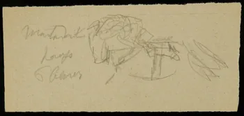 partie d'un ensemble de dessins Cheval 1968.102.2713.10 Photo Mucem