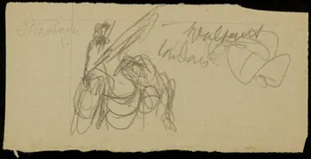 partie d'un ensemble de dessins Strassburger 1968.102.2713.17 Photo Mucem
