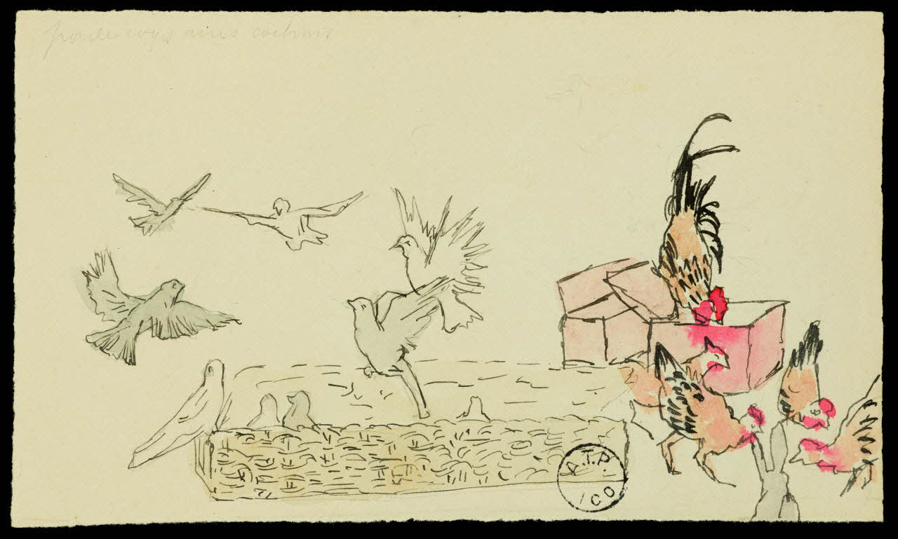 partie d'un ensemble de dessins poules coqs anes cochons 1968.102.2767 Photo Mucem