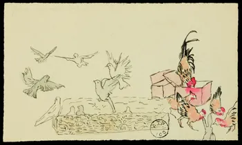 partie d'un ensemble de dessins poules coqs anes cochons 1968.102.2767  Photo Mucem