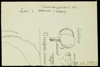 partie d'un ensemble de dessins Vansart 1968.102.2793.1 Photo Mucem