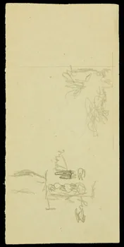 partie d'un ensemble de dessins Equestre passant 1968.102.2797.5 Photo Mucem