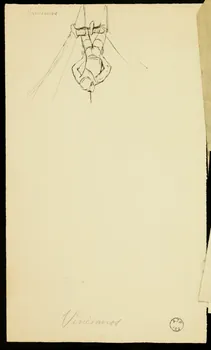 partie d'un ensemble de dessins Vincianos 1968.102.2818.5 Photo Mucem