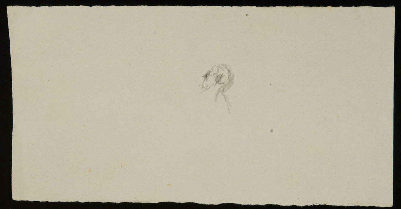 partie d'un ensemble de dessins Le Fouet  Mlle Loyal 1968.102.2869.5 Photo Mucem