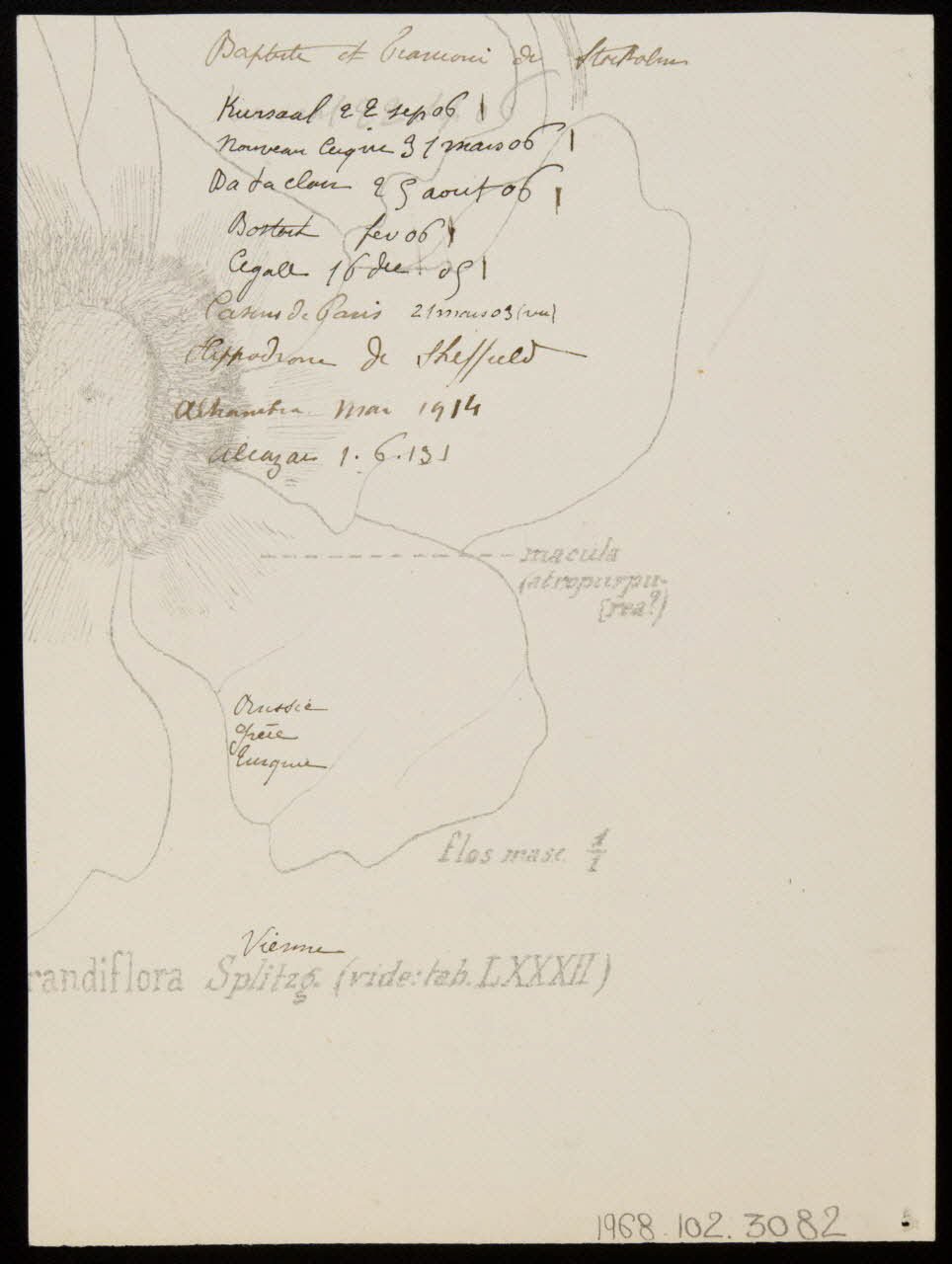 partie d'un ensemble de dessins Baptiste et Franconi 1968.102.3082 Photo Mucem