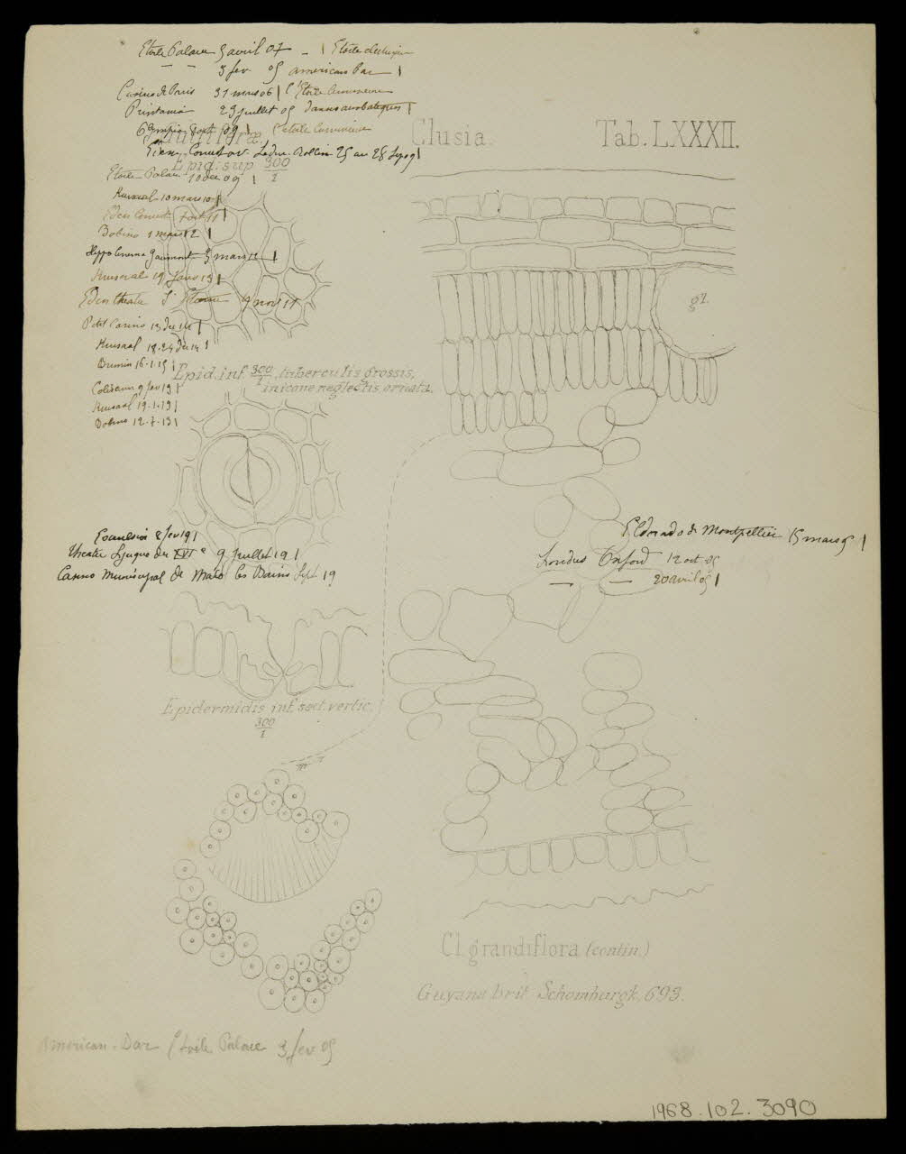 partie d'un ensemble de dessins Au coeur de l'étoile de feu 1968.102.3090 Photo Mucem
