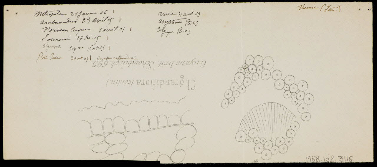 partie d'un ensemble de dessins Bonnes 1968.102.3116 Photo Mucem
