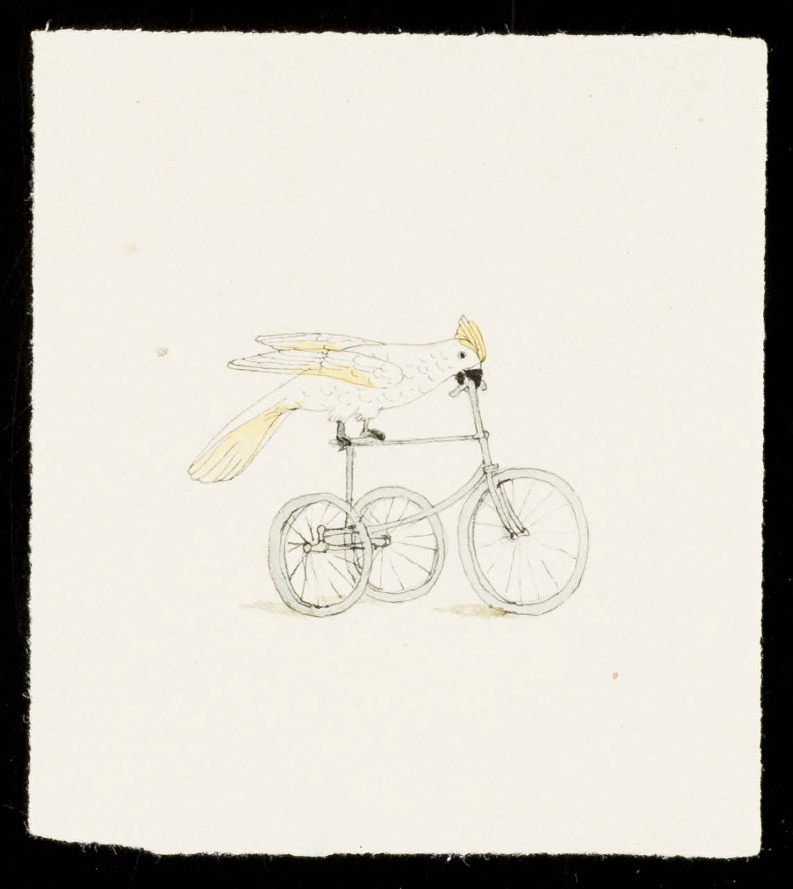 partie d'un ensemble de dessins Cacatoès sur un tricycle 1968.102.3226.3 Photo Mucem