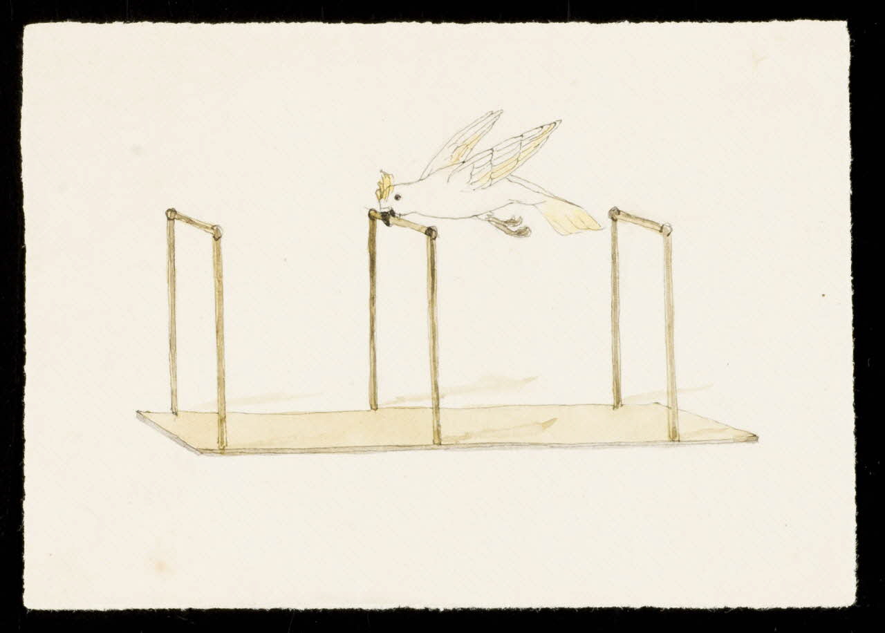 partie d'un ensemble de dessins Cacatoès se balançant 1968.102.3226.4 Photo Mucem