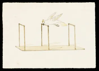 partie d'un ensemble de dessins Cacatoès se balançant 1968.102.3226.4  Photo Mucem