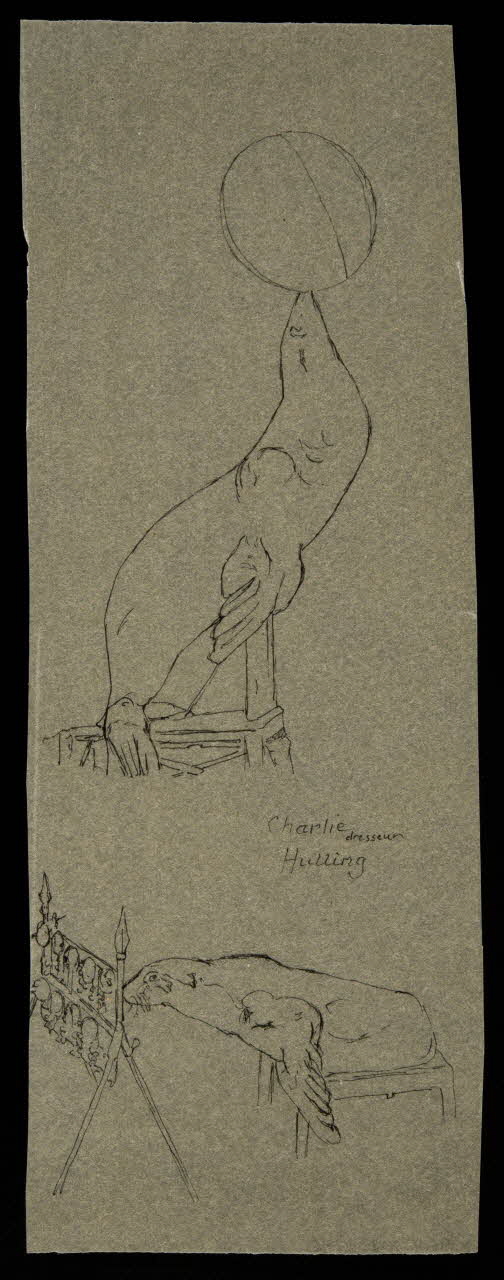 partie d'un ensemble de dessins Charlie  dresseur  Hulling 1968.102.3250 Photo Mucem