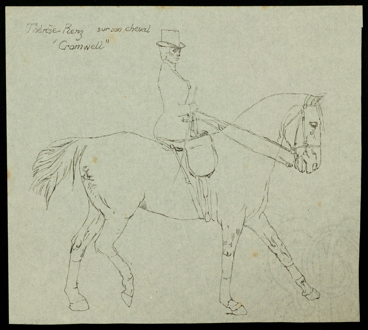 partie d'un ensemble de dessins Thérèse Renz sur son cheval  "Cromwell" 1968.102.3406 Photo Mucem