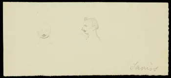 partie d'un ensemble de dessins Sanios 1968.102.3428 Photo Mucem