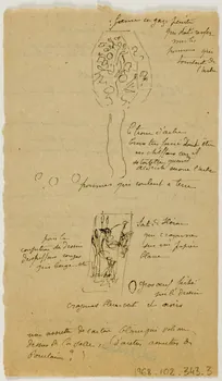 partie d'un ensemble de dessins Aldrich 1968.102.343.3 Photo Mucem