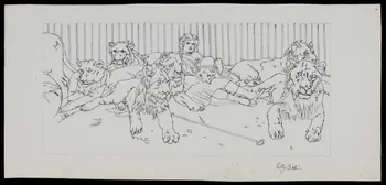 partie d'un ensemble de dessins Fillette parmi les lions 1968.102.3473 Photo Mucem