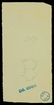 partie d'un ensemble de dessins Torse 1968.102.390.2  Photo Mucem