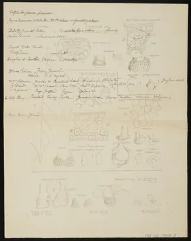 partie d'un ensemble de dessins Numéro d'équilibriste 1968.102.3945.5  Photo Mucem