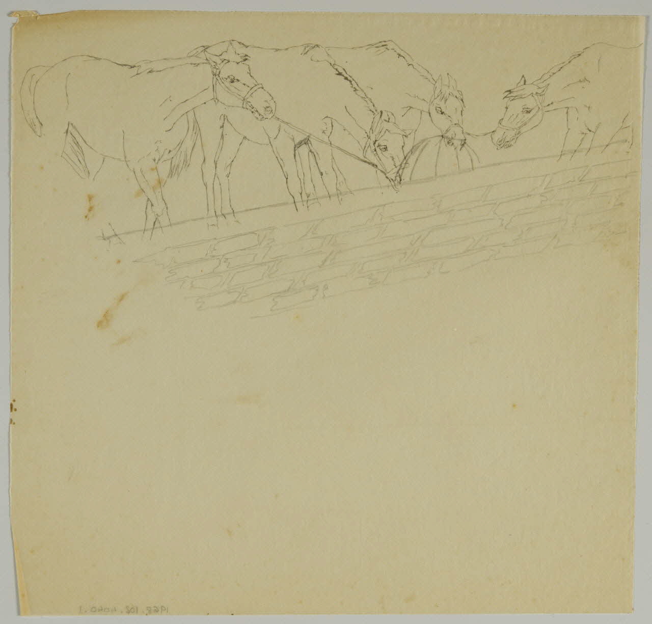 partie d'un ensemble de dessins Chevaux et ballon 1968.102.4040.1 Photo Mucem