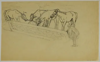 partie d'un ensemble de dessins Chevaux Schuman 1968.102.4040.2 Photo Mucem