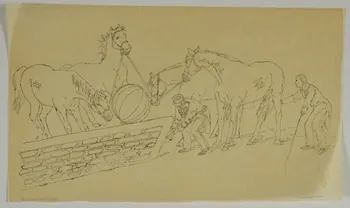 partie d'un ensemble de dessins Dressage des chevaux 1968.102.4040.3 Photo Mucem