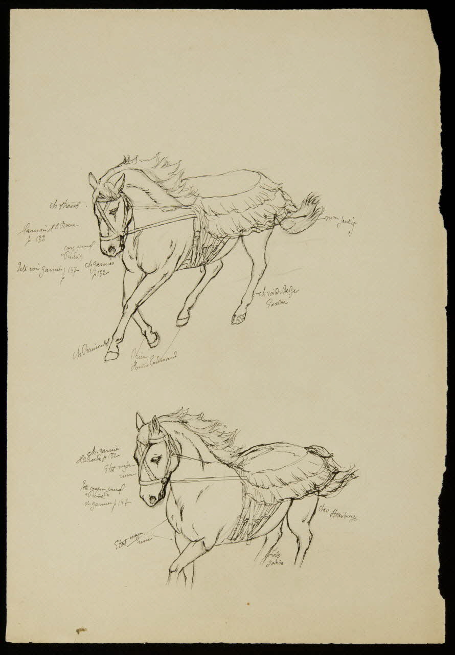partie d'un ensemble de dessins Chevaux 1968.102.4041.5 Photo Mucem