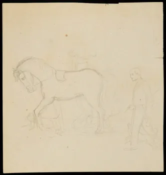 partie d'un ensemble de dessins Ecuyer et son cheval 1968.102.4051  Photo Mucem