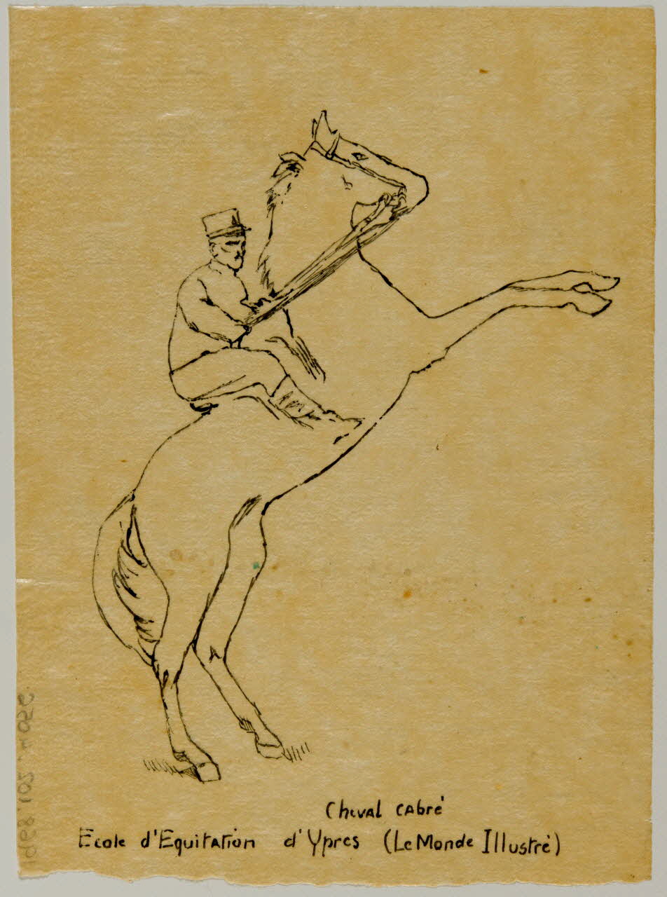 partie d'un ensemble de dessins Cheval cabré  Ecole d'Equitation d'Ypres (Le Monde Illustré) 1968.102.4056 Photo Mucem