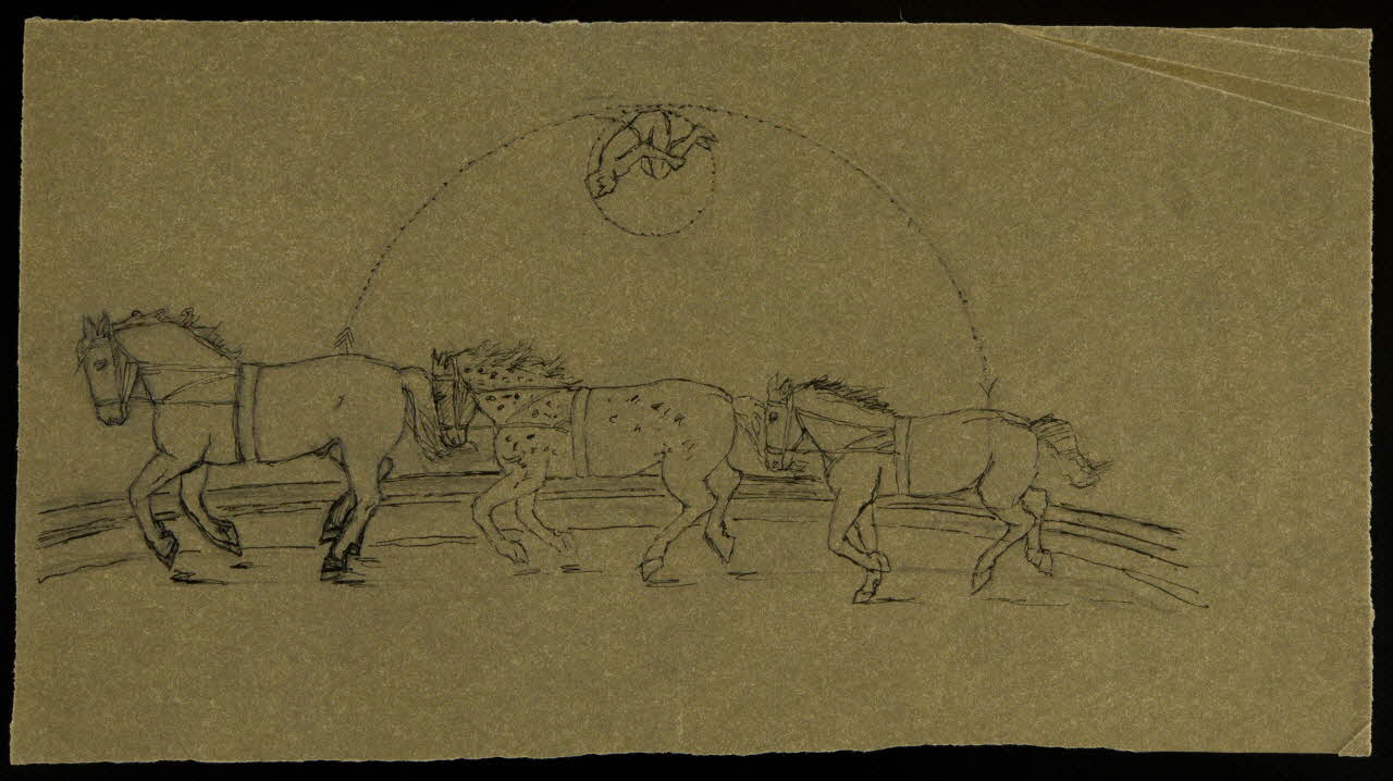 partie d'un ensemble de dessins Numéro de voltige 1968.102.4066 Photo Mucem