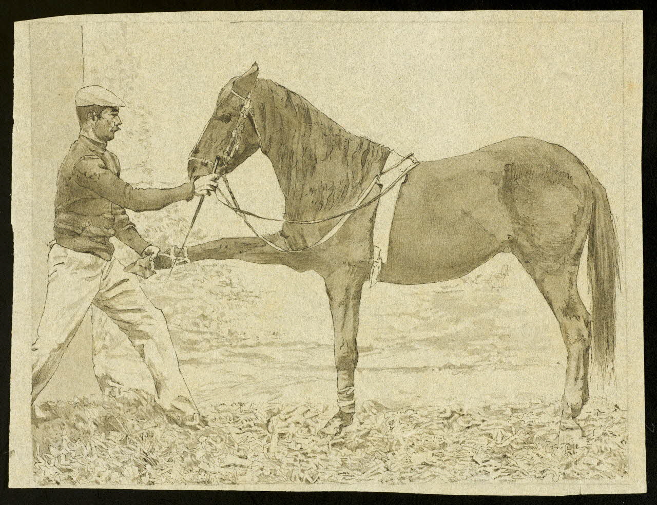 partie d'un ensemble de dessins Dressage d'un cheval 1968.102.4071 Photo Mucem