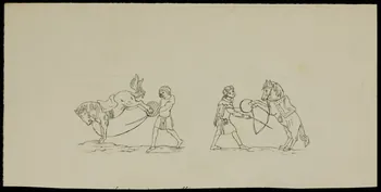 partie d'un ensemble de dessins Dressage d'un cheval 1968.102.4077  Photo Mucem
