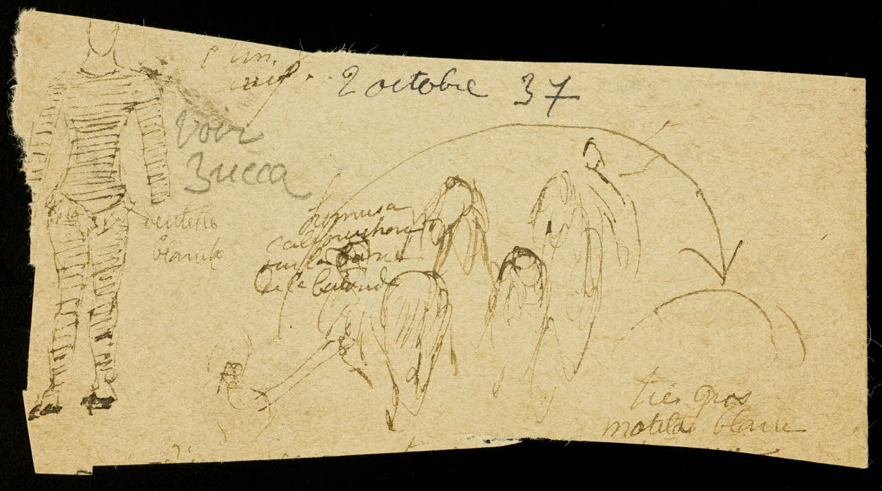 partie d'un ensemble de dessins 2 octobre 37 1968.102.4080 Photo Mucem