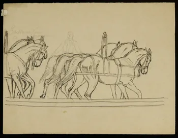 partie d'un ensemble de dessins Parade de chevaux 1968.102.4086  Photo Mucem