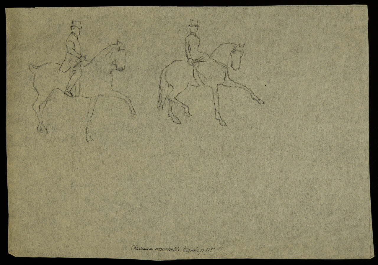 partie d'un ensemble de dessins Chevaux mouchetés tigrés p. 115 1968.102.4120 Photo Mucem