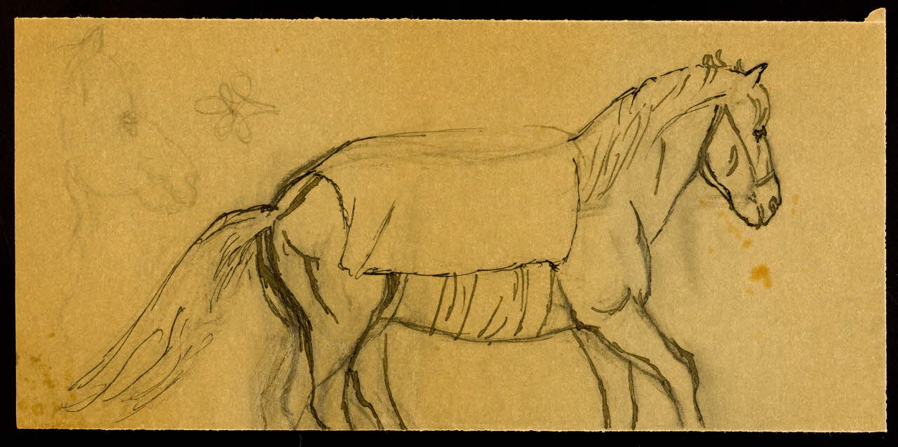 partie d'un ensemble de dessins Cheval 1968.102.4134.2 Photo Mucem