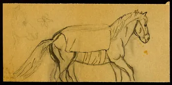 partie d'un ensemble de dessins Cheval 1968.102.4134.2 Photo Mucem