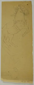 partie d'un ensemble de dessins Cheval cabré 1968.102.4141 Photo Mucem